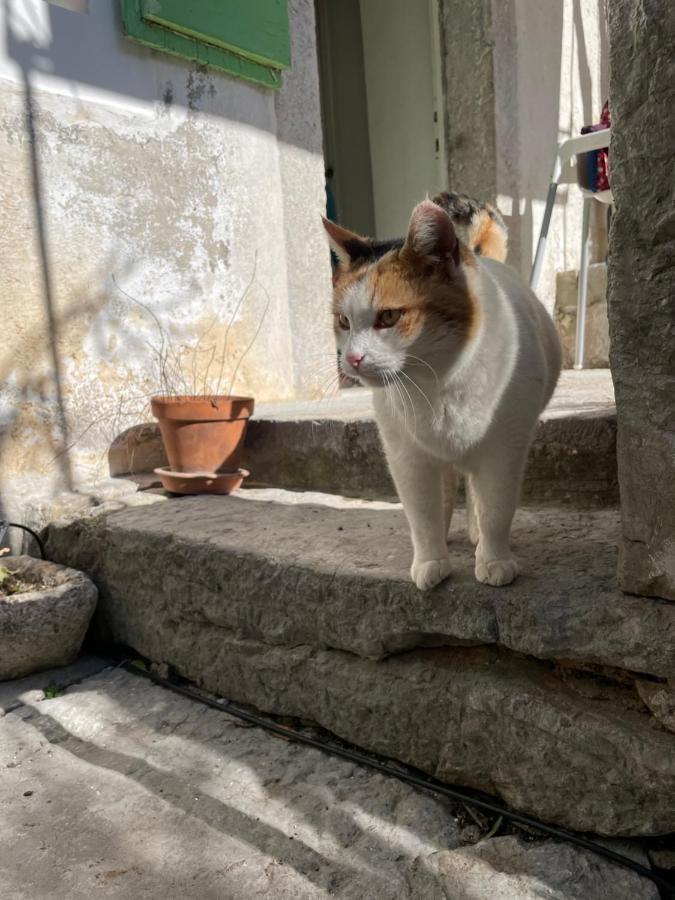 Maja Stone House Kornić Exterior foto